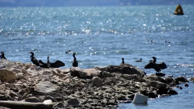 Καιρός 17/2: Ανεβαίνει επιτέλους η θερμοκρασία - Ηλιοφάνεια με αίσθηση άνοιξης