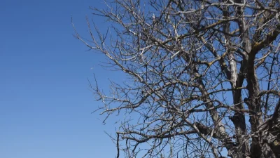 «Γενικά αίθριος θα είναι σήμερα 3/2 ο καιρός, αλλά...» - Σε ποιες περιοχές θα ανέβει και σε ποιες θα πέσει ο υδράργυρος