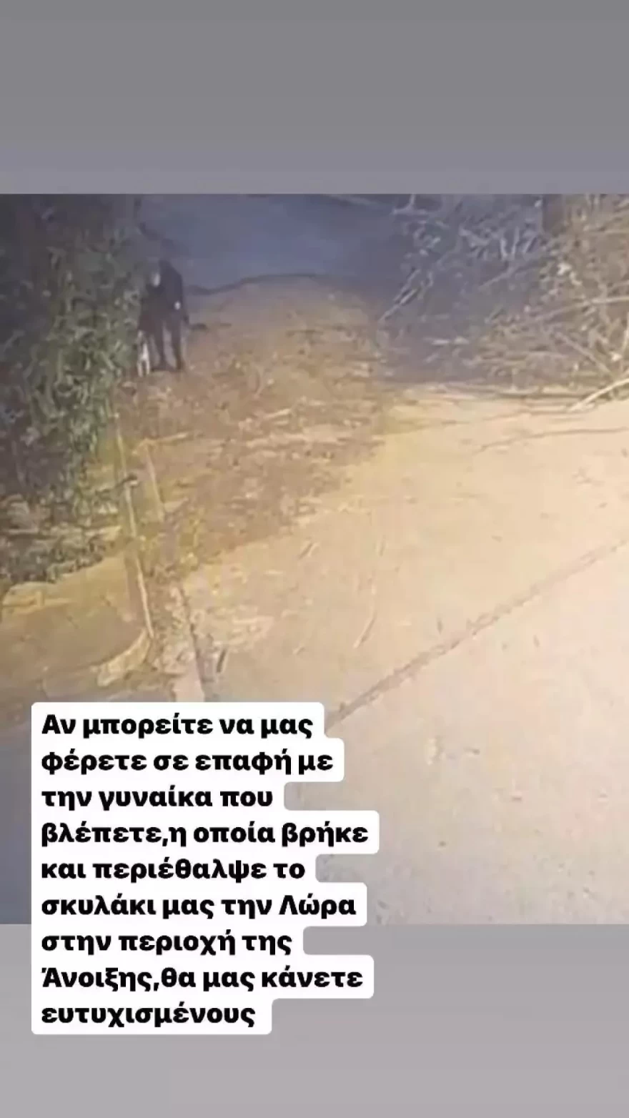 Χρήστος Φερεντίνος Σοφία Παυλίδου σκύλος χάθηκε