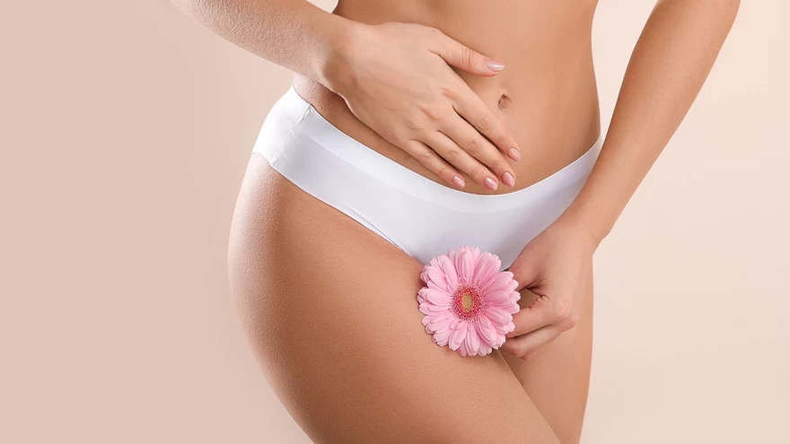 vagina_desinger_concept