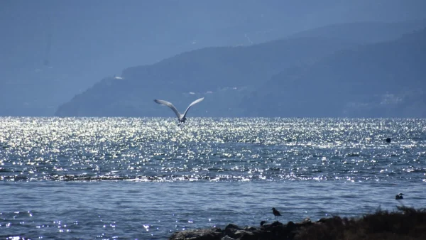Καιρός 31/3: Κάποιοι θα ρίξουν τις πρώτες βουτιές σήμερα - Σημαντική άνοδος της θερμοκρασίας
