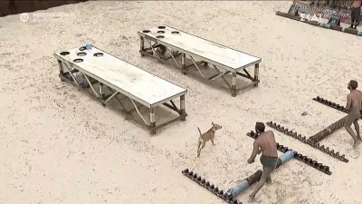 Survivor 29/4: Αυτή η ομάδα κέρδισε τελικά τη 2η ασυλία - Μπήκε σκυλί στην πίστα και κυνήγησε παίκτη