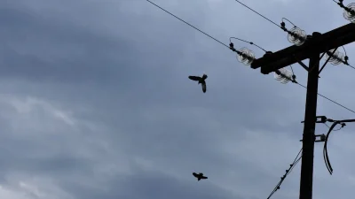 Καιρός 8/4: Αέρας, πτώση της θερμοκρασίας και τοπικές βροχές σήμερα