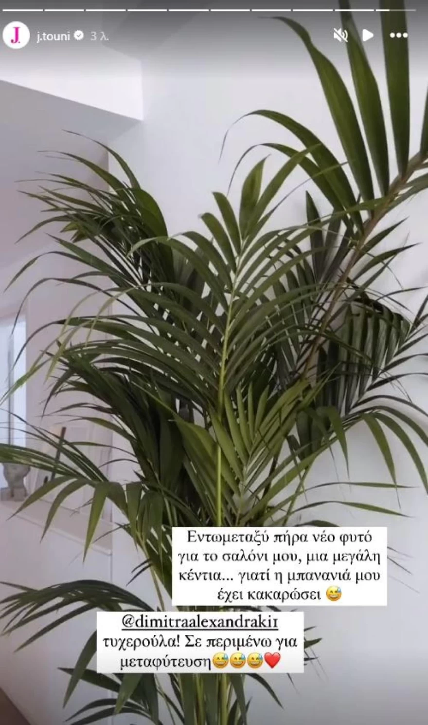 Ιωάννα Τούνη σπίτι φυτό