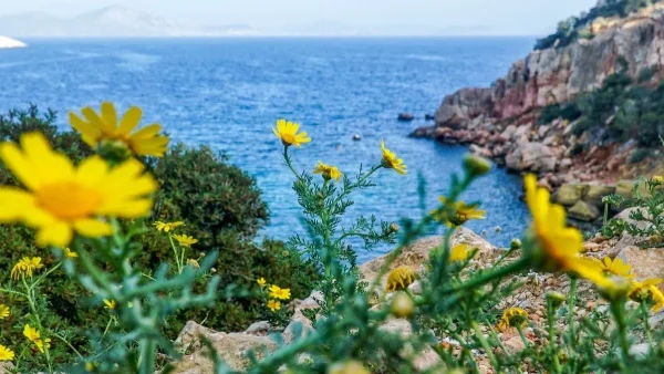 Καιρός 7/5: Γενικά αίθριος σήμερα, Τρίτη του Πάσχα - Η θερμοκρασία θα ανέβει μέχρι...