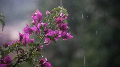 Καιρός 17/5: Τοπικές βροχές και αφρικανική σκόνη - Πόσο θα ανέβει η θερμοκρασία