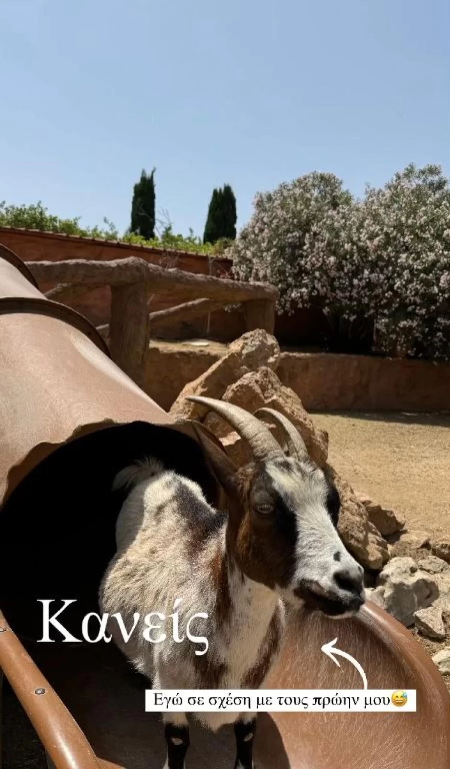Ιωάννα Τούνη Ζωολογικός κήπος