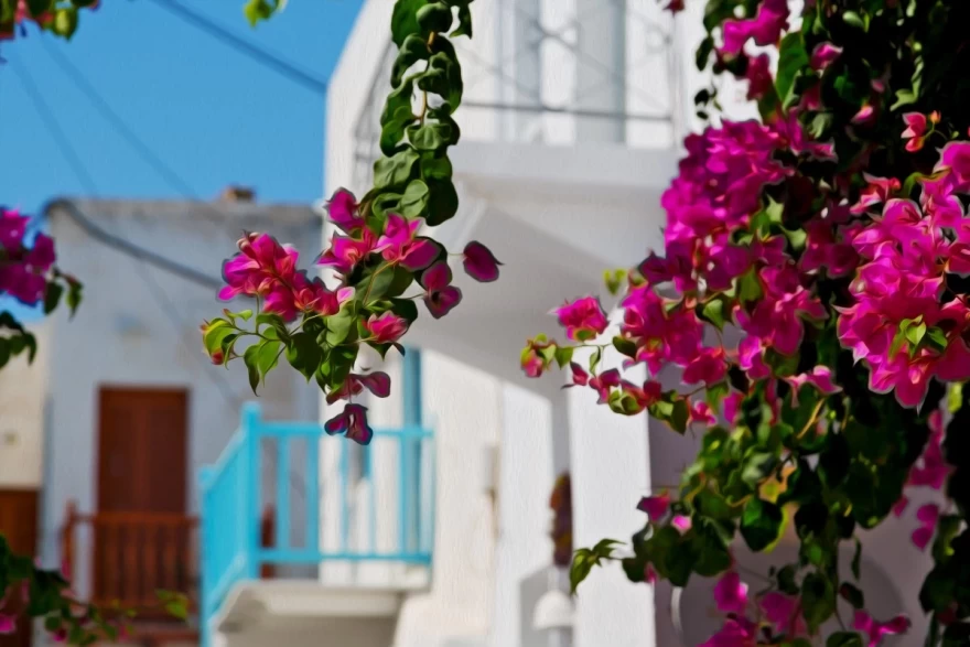Αντίπαρος χώρα