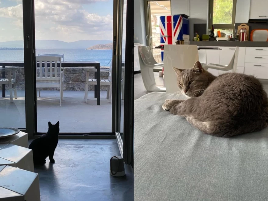 Γιώργος Καπουτζίδης Αίγινα