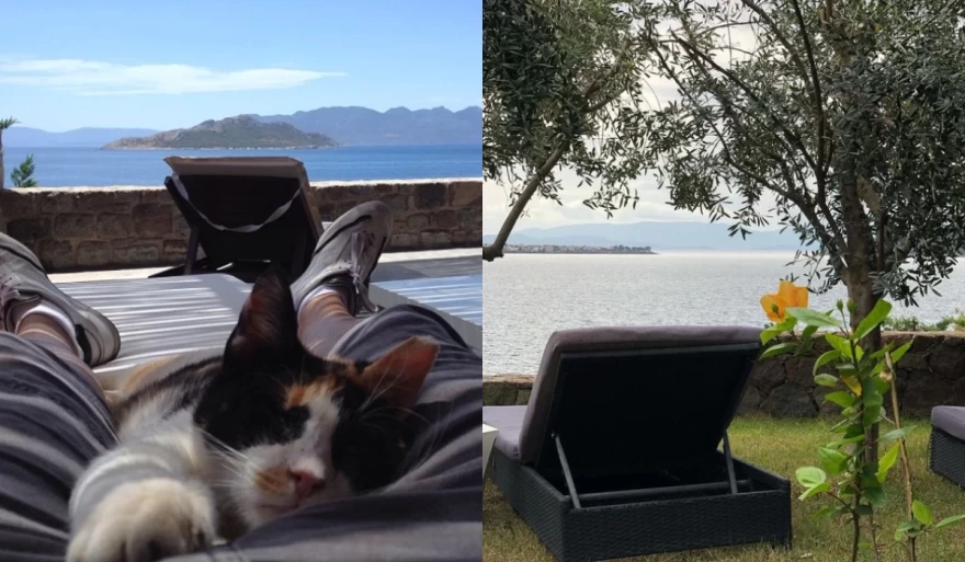 Γιώργος Καπουτζίδης εξοχικό Αίγινα