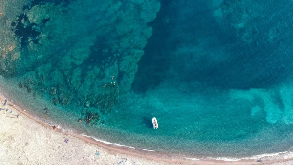 Ζώδια: Τι μας περιμένει σήμερα, Τετάρτη 24 Ιουλίου