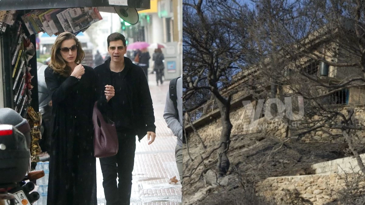 Έζησαν τον απόλυτο εφιάλτη: Ρουβάς, Κοντομηνάς, Βίσση και 6 ακόμα διάσημοι Έλληνες που έχασαν το σπίτι τους από φωτιά!
