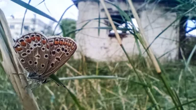 Αίθριος ο καιρός σήμερα 23/9 - Άνοδο θα σημειώσει η θερμοκρασία