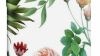 8 επώνυμες Ελληνίδες αποκαλύπτουν στο YOU τι βάζουν στην βαλίτσα των διακοπών τους