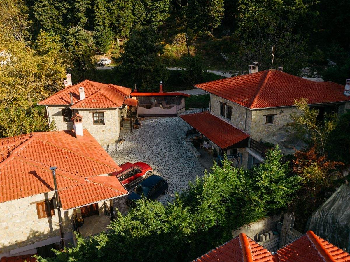 Τα Πέτρινα της Ελάτης μέσα στο δάσος