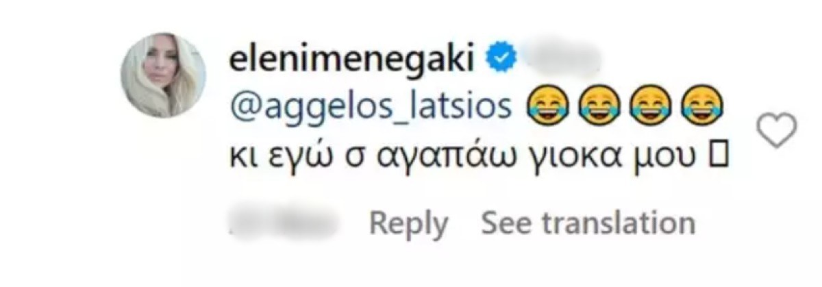 Η ανάρτηση της Ελένης Μενεγάκη.