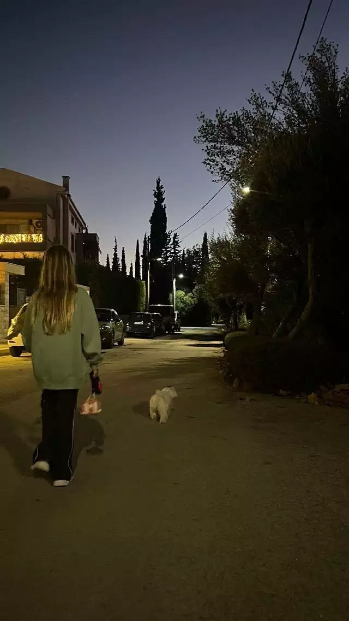 Μαρίνα Παντζοπούλου: Η κόρη της Ελένης Μενεγάκη και του Ματέο μεγάλωσε πολύ - Φωτογραφία