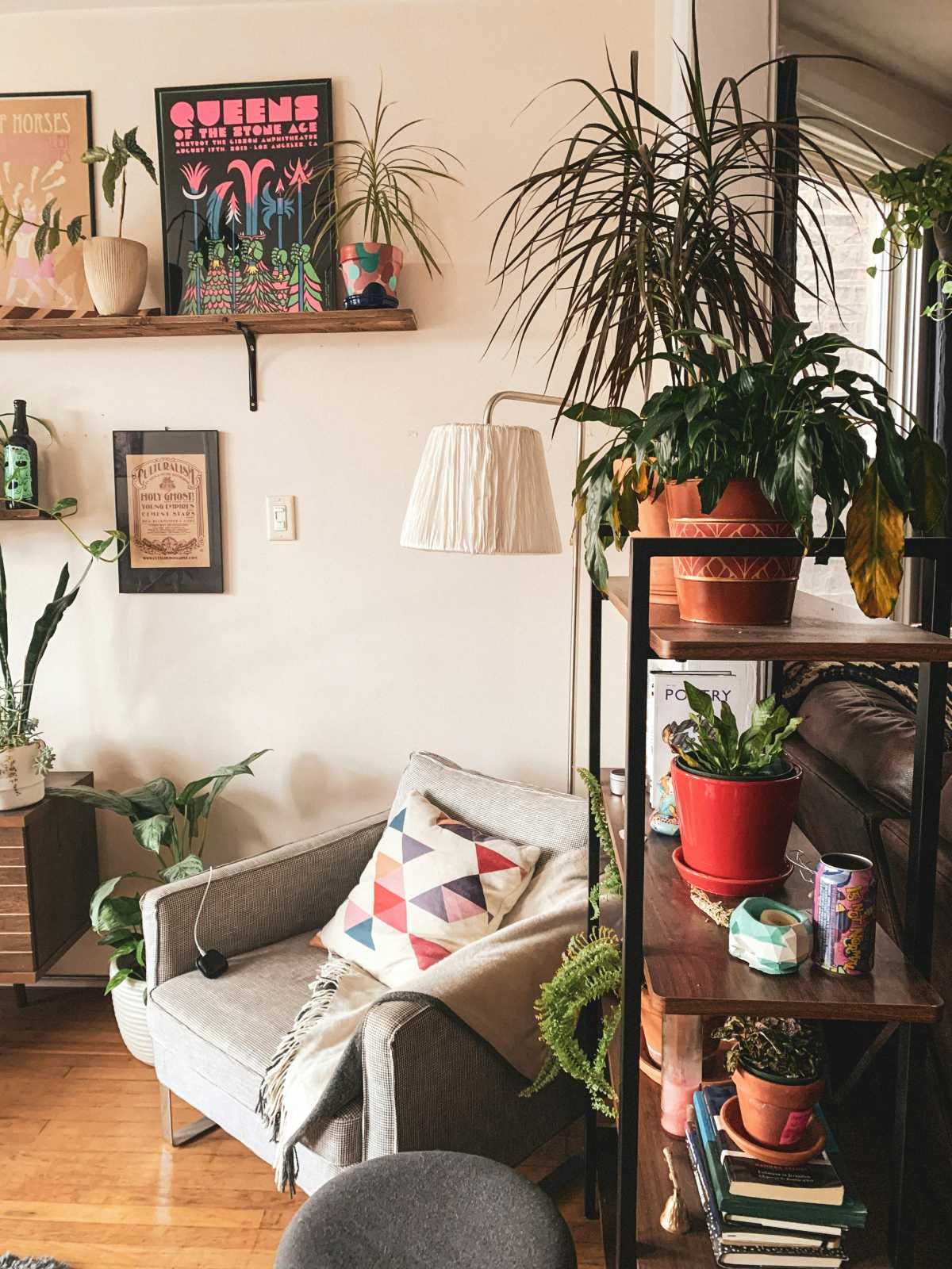 Φυτά Feng Shui