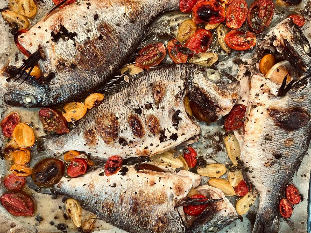 Τσιπούρες στο ταψί