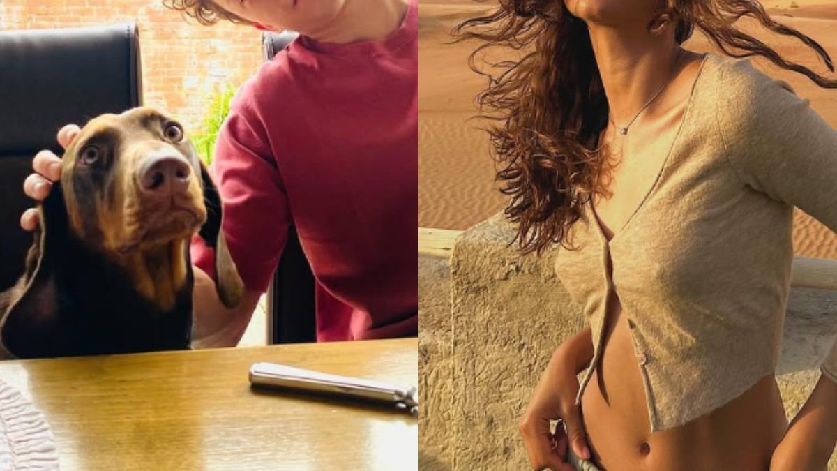 Κομμένη φωτογραφία της Zendaya και του Holland