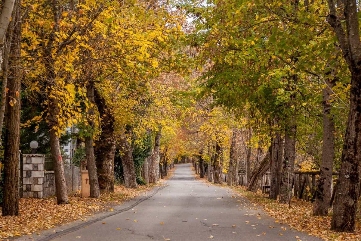 Ο δρόμος της αγάπης στη Βυτίνα