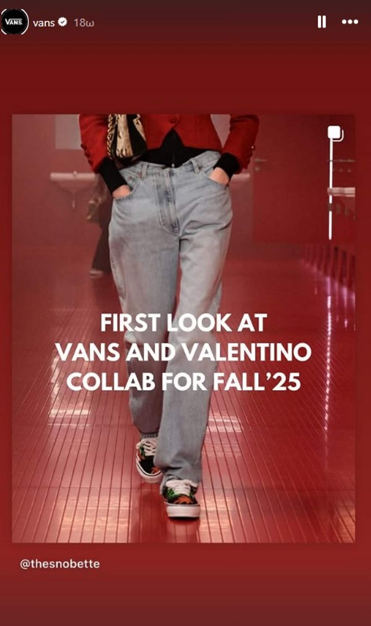 sneakers Vans