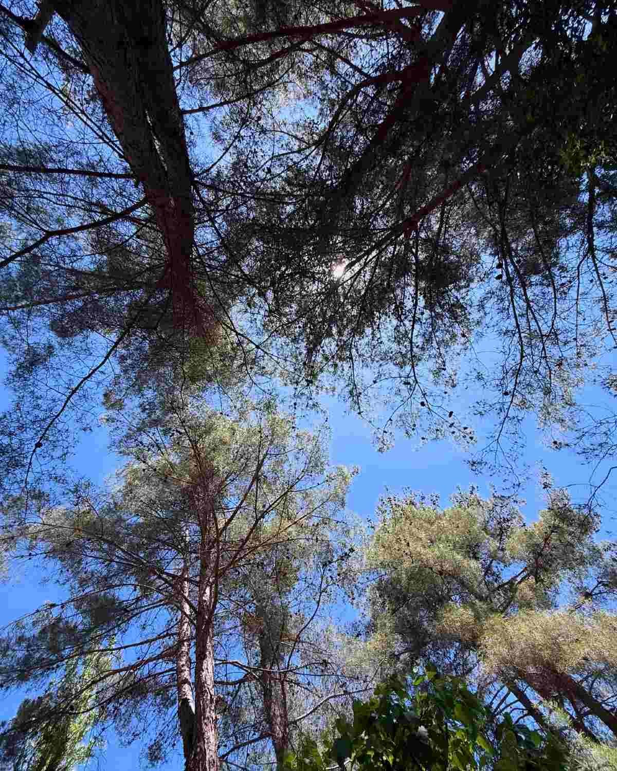 Η ανάρτηση της Κωνσταντίνας Ευρυπίδου για το Πάσχα