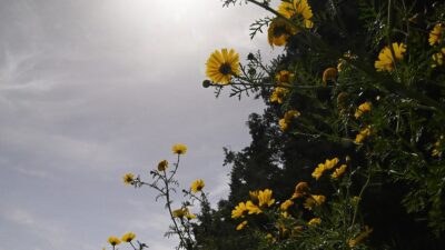 Καιρός