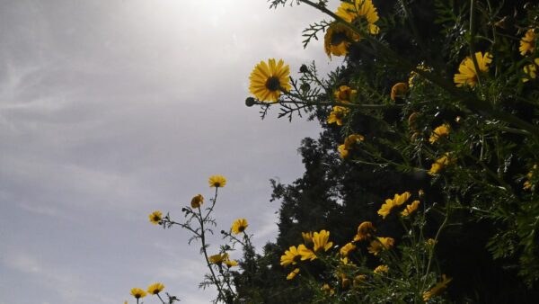 Καιρός