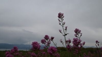 Καιρός