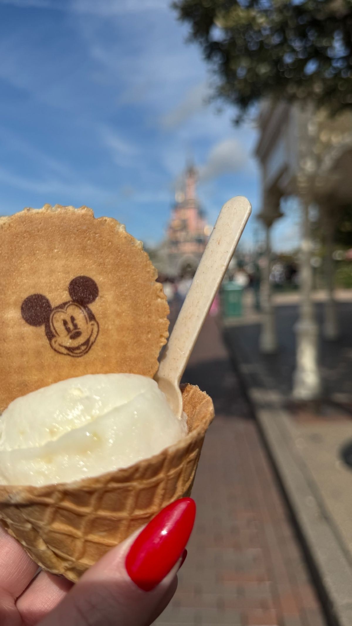Η Σίσσυ Χρηστίδου με τους γιος της στη Disneyland