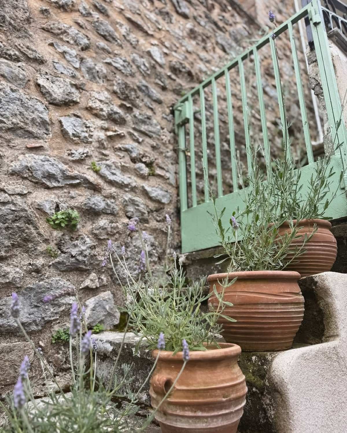 Η Δανάη Μπάρκα στο Instagram