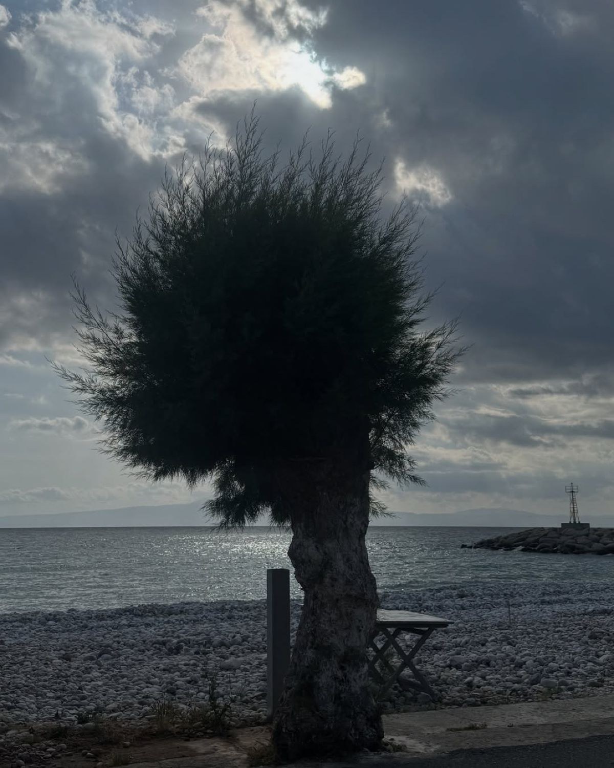 Η Δανάη Μπάρκα στο Instagram