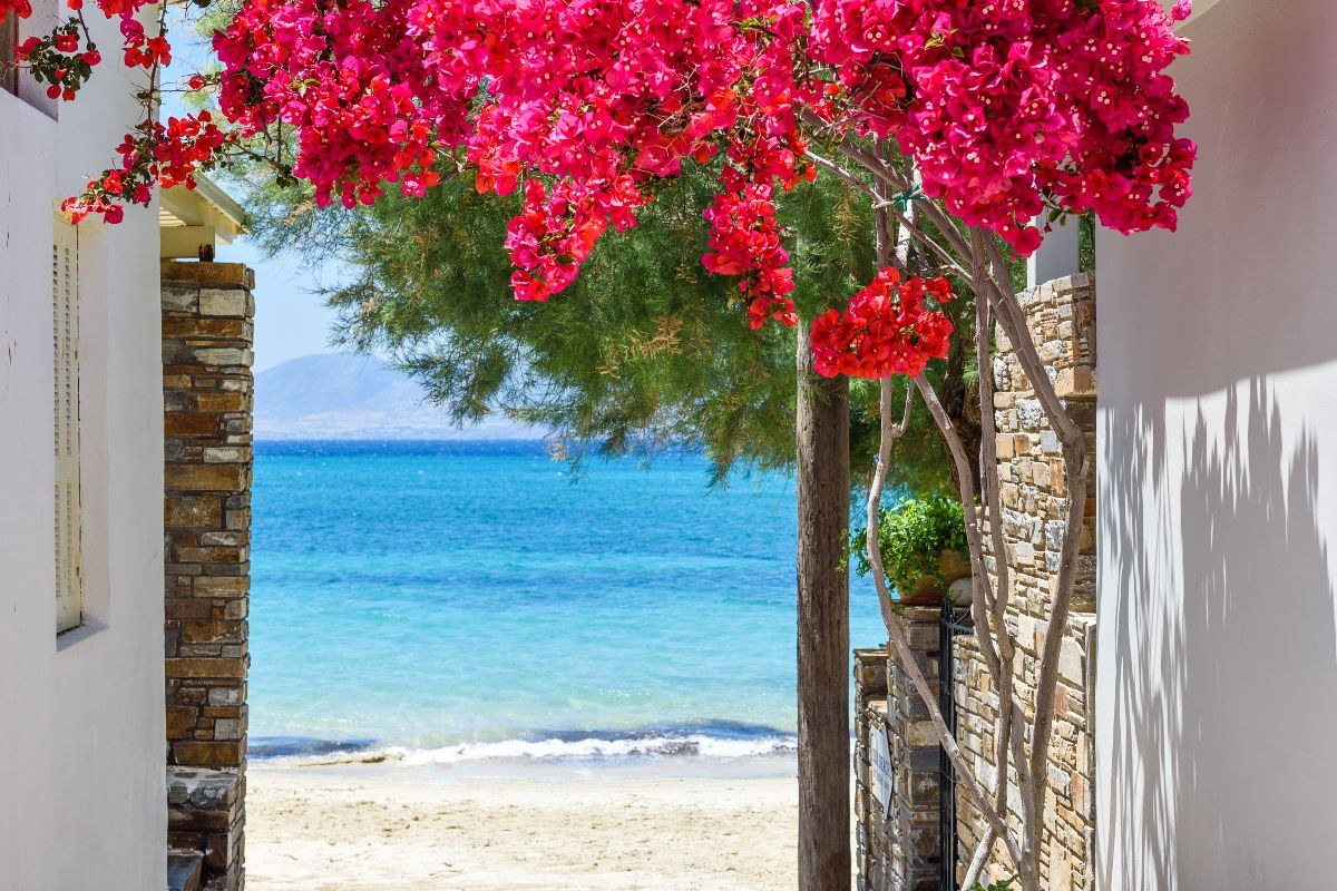 Με θέα τη θάλασσα