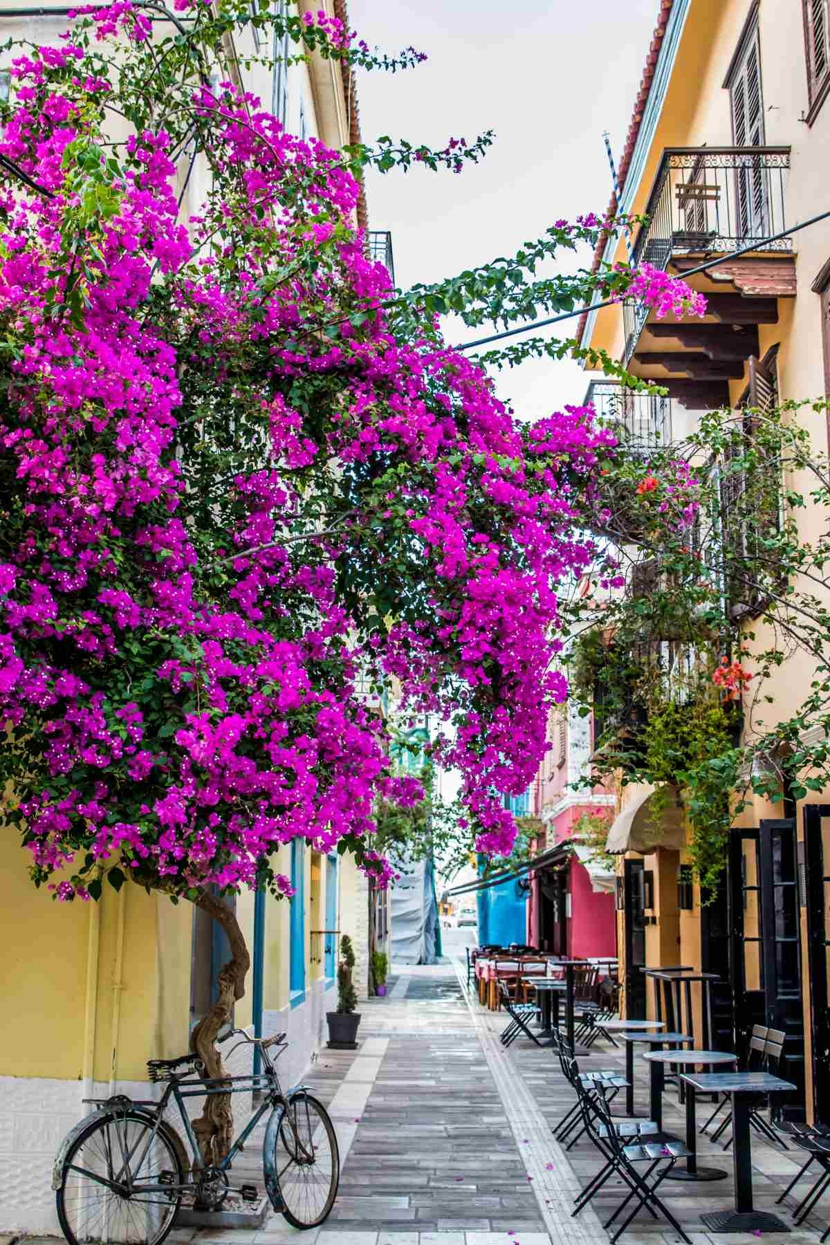H Παλιά Πόλη στο Ναύπλιο