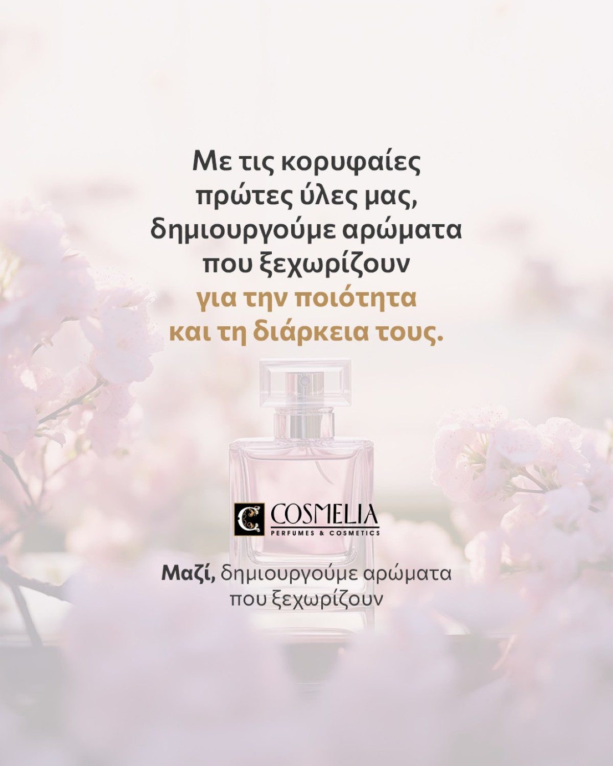 _cosmelia_