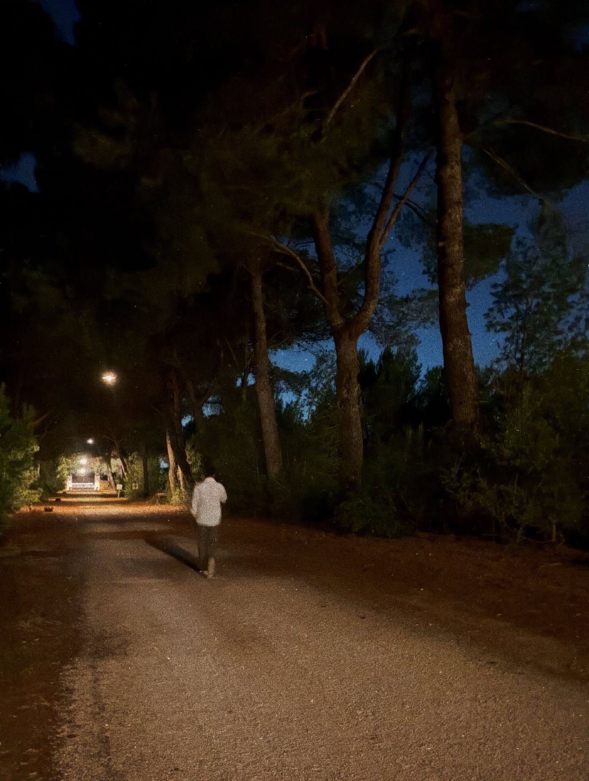 Ο Μιχόπουλος