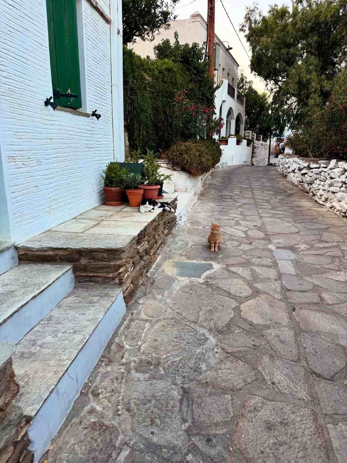 Λασκαράκη: Το φωτογραφικό άλμπουμ από τις διακοπές της στις Κυκλάδες - Η κόρη της, τα στιγμιότυπα με μαγιό και τα τοπία