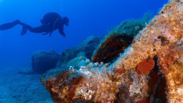 Η μαγεία του βυθού με το Nima Dive Center