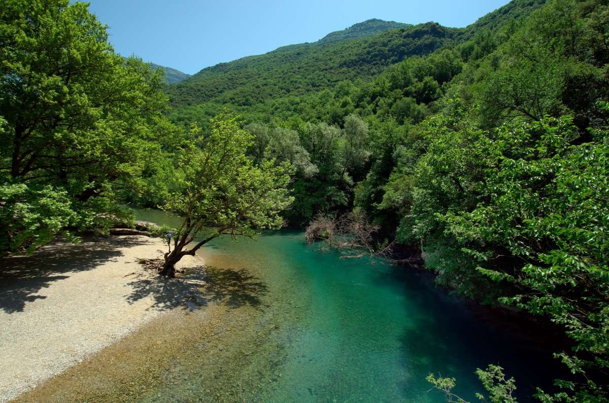 Φαράγγι Βίκος