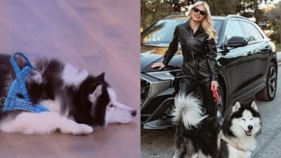 Η Φαίη Σκορδά με το σκυλάκι της