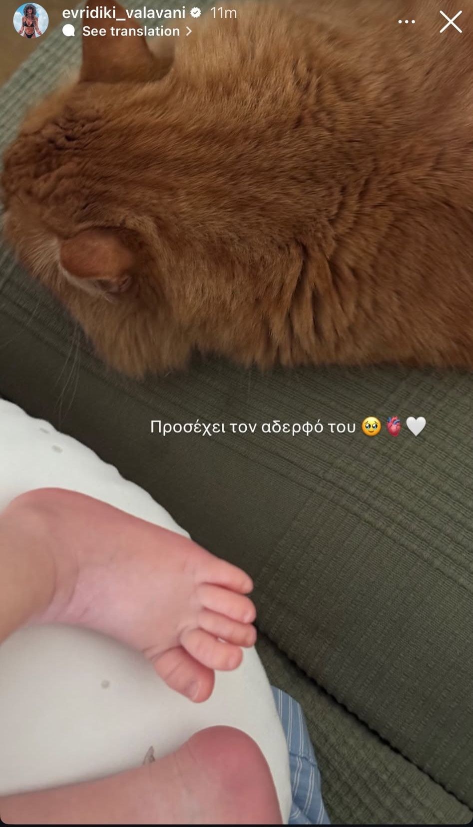 Ευρυδίκη Βαλαβάνη: Φωτογραφίζει τον γιο της με τον γάτο της - «Προσέχει τον αδερφό του»