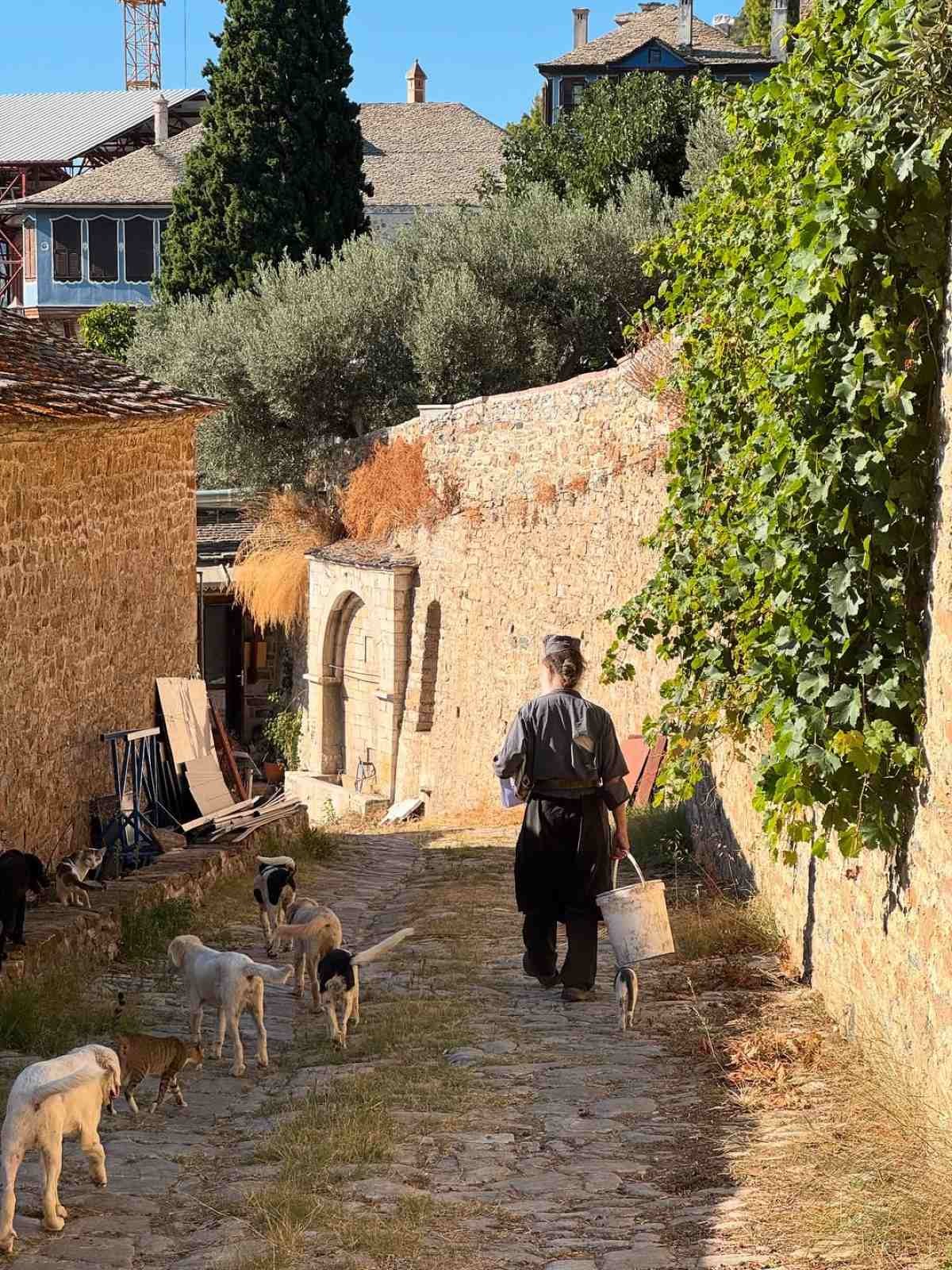 Στιγμιότυπα που ανέβασε ο Στέφανος Κωνσταντινίδης από το Άγιο Όρος
