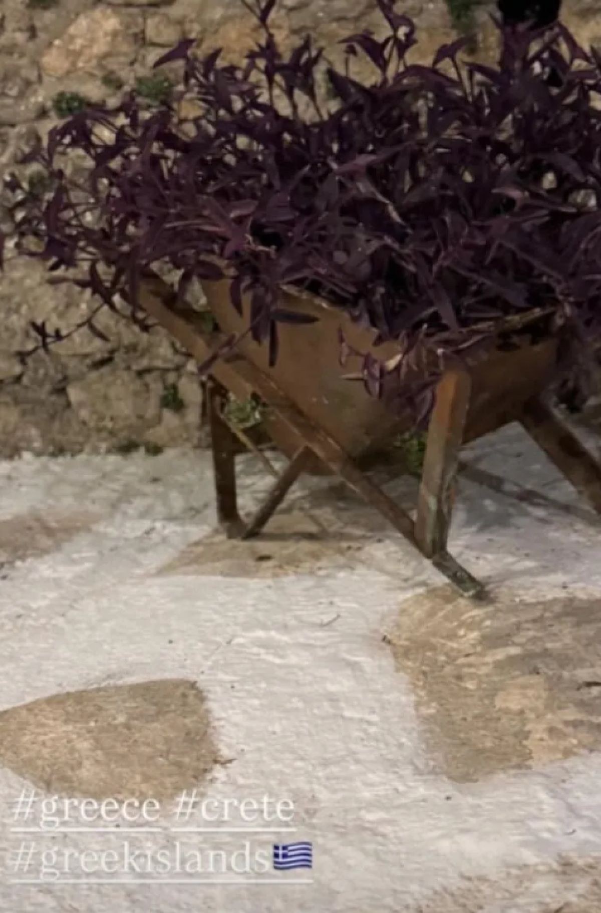 Ο Βασίλης Μπισμπίκης και η Δέσποινα Βανδή στο Instagram