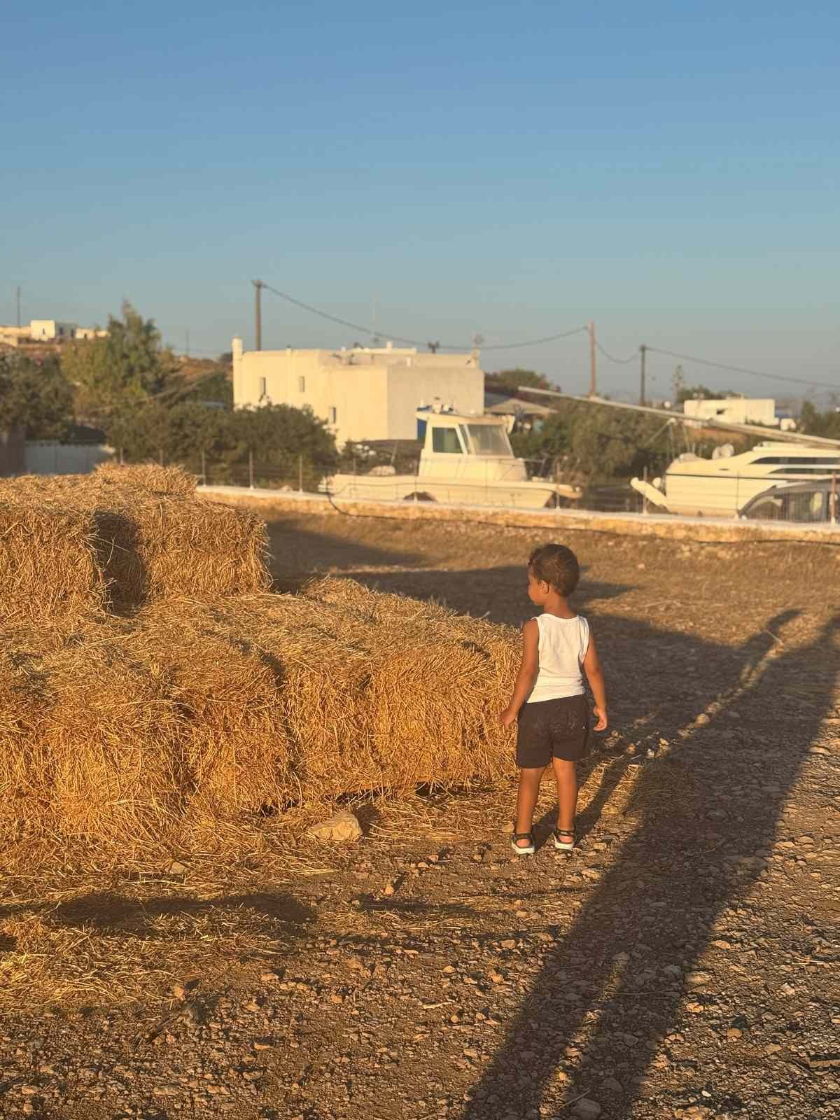 Ελένη Φουρέιρα: Το τρυφερό βίντεο με την φωνούλα του γιου της, Ερμή