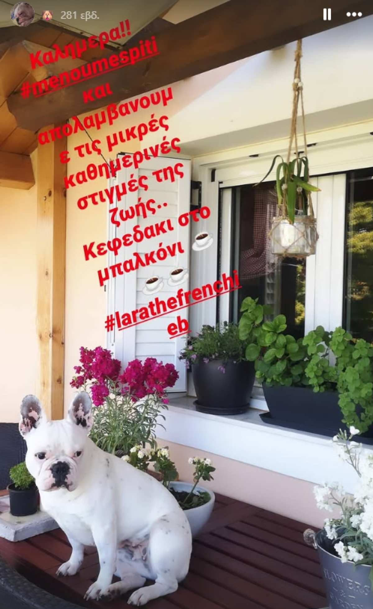 Το σπίτι της Ανθής Βούλγαρη