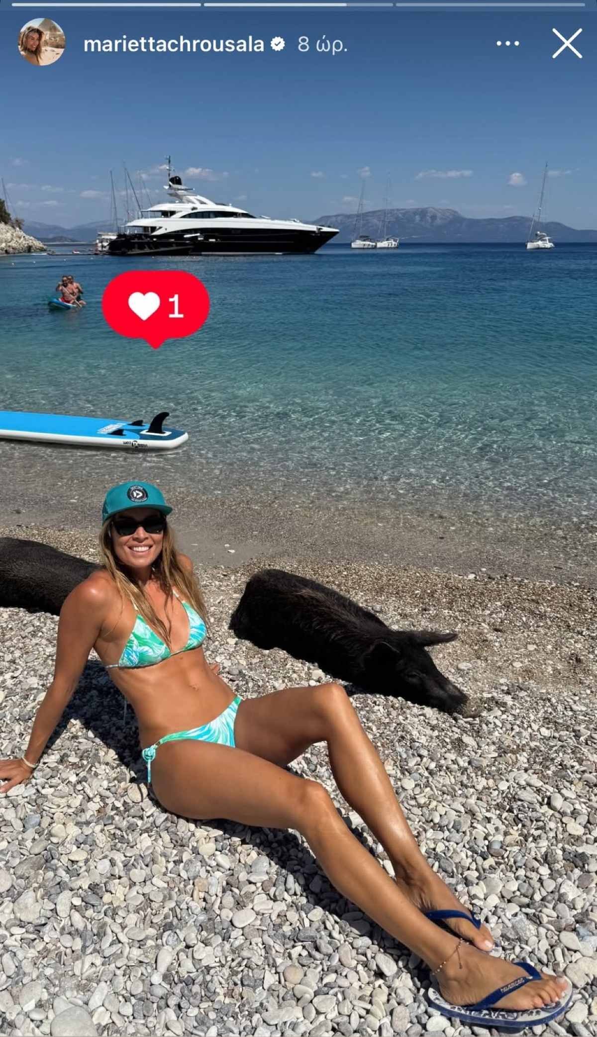 Η Μαριέττα Χρουσαλά στον Άτοκο με γουρούνια