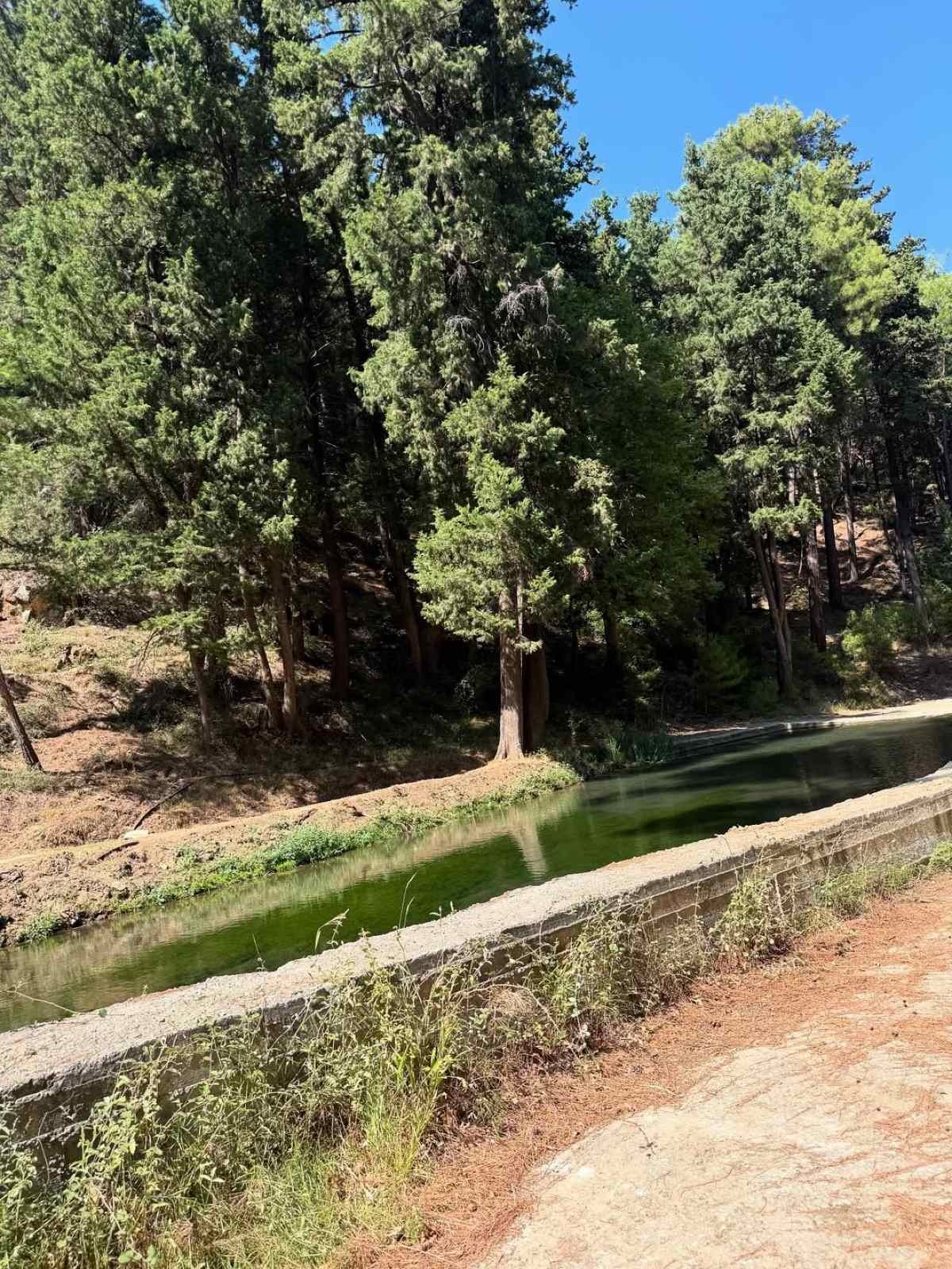 Η Ζέτα Μακρυπούλια στο Instagram