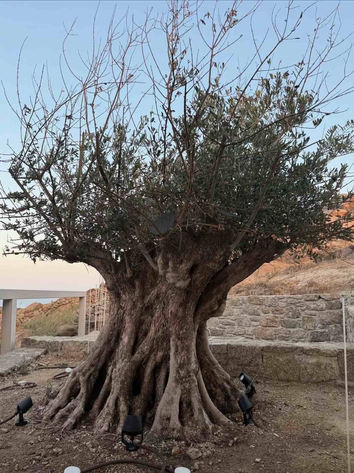 Ο Κωνσταντίνος Αργυρός στη Μύκονο