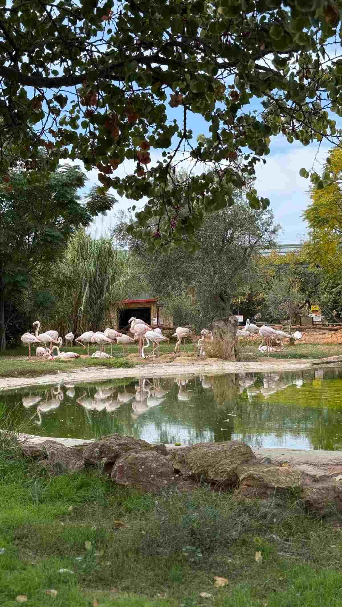 Η Κωνσταντίνα Σπυροπούλου στον ζωολογικό κήπο